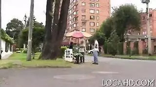 نيك نامي في ون بيس كرتون