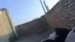 سكس عراقي خام: مص وقوف كلب