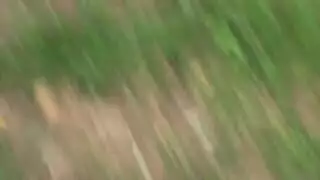 ساخنة إسبانية يائسة تحتاج إلى تدمير بقضيب كبير