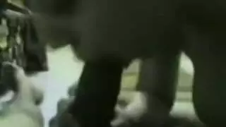 فتاة مصرية ساخنة تأخذ نفثًا ثم قضيبًا في كل ثقب