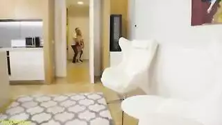 في الشغل معا زميلتو والموظفه تشوف جنس