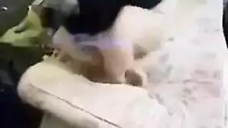 سكس قحاب نغربي ورقص