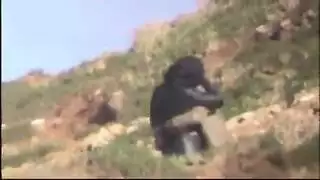 نيك خارجي عنيف مع فتاة مصرية مملوءة