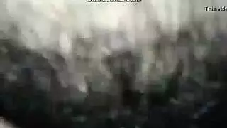 مشتهد تيتنايك