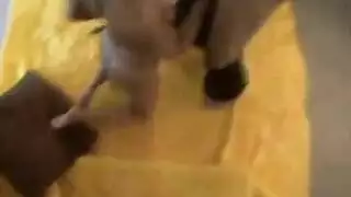 الشقراء تفتح ساقيها على مصراعيهما لضربات missionary القاسية