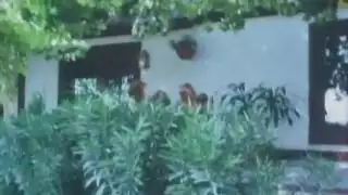 دخترای افغانستان آمریکایی