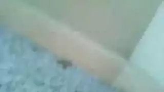 فيلم فانتازيا جنس حيوانات تابو هاردكور