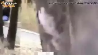 سكس بنت هندية يوم العيد