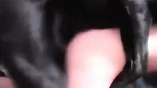 ٦ مراهقة جميلة في مشاهد إباحية صعبة ومرهقة