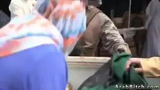 الزوج عرقي الهرة مشعر