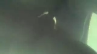 سكس أوروبي للبدينات لا تحميل، اضغط وشاهد