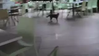 عاهرة عالمية في تجميع سكس عنيف متطرف