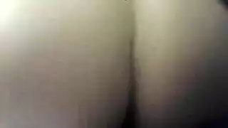 امركي لبنانيه