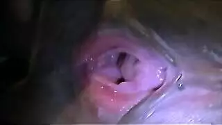 ماي داي 2019 أنبوب الإباحية الحرة