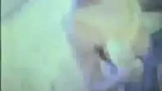 بلا مأوى تنس