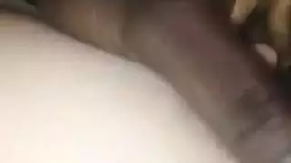 مجموعة أفلام إباحية صريحة المجلد ١٣