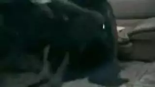 طبيب برازيلي يمارس الجنس بقسوة مع مراهقة أفريقية بريئة في فيلم طبي إباحي