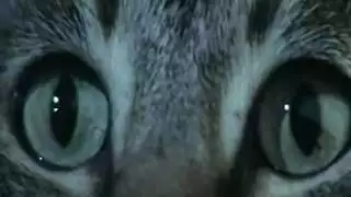 قنبلة شقراء طويلة ومؤخرتها الضخمة في الحركة