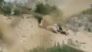 الثدي حسي شاطئ بحر